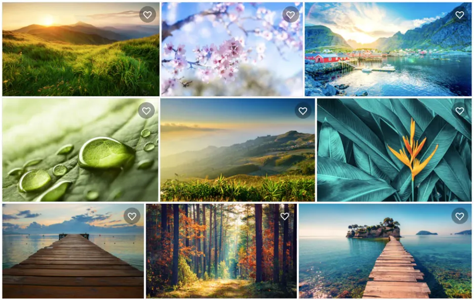 677795a92e7ce5ddc7bb8853_64082d6e137f5c2c87dd5e7f_shutterstock_2520pr_25CC_258Ci_25CC_2581roda (Foto: NástrojeProWeb)