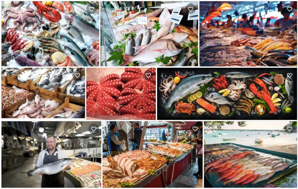 677797e0fda2910ffe2ff03d_64082d6e137f5c8ab9dd5e80_shutterstock_2520rybi_25CC_2581_2520trh (Foto: NástrojeProWeb)